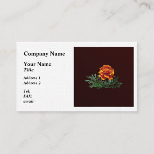 One Orange Marigold with Yellow Tips Business Card