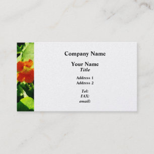 One Orange Nasturtium  - Platinum Finish Business Card