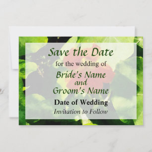 One Orange Nasturtium Save the Date