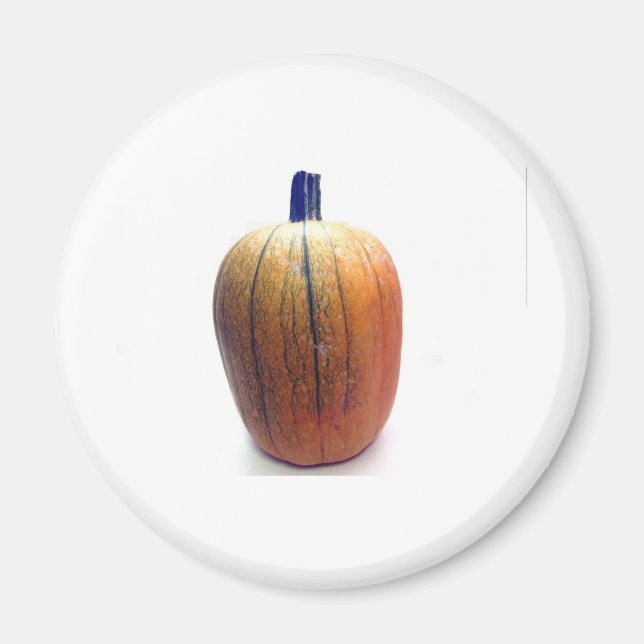 One Orange Pumpkin Magnet (Front)