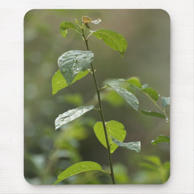 One other day mouse mat (Front)