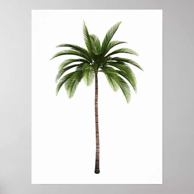 One Palm Tree Tropical Beach Island Art Simple Fun Poster (Front)