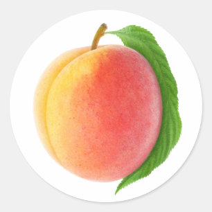 One peach with leaf classic round sticker