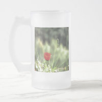 One Poppy Artistic Wildflower Painting