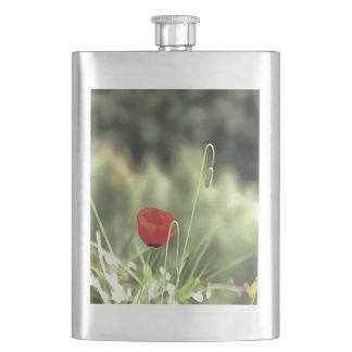 One Poppy Artistic Wildflower Painting Hip Flask