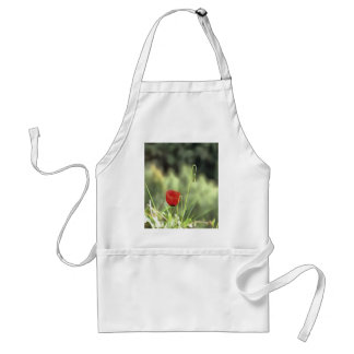 One Poppy Artistic Wildflower Painting Standard Apron