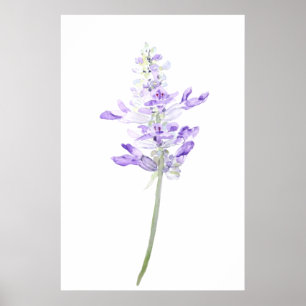 one purple fernleaf lavender watercolor  poster