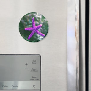 One Purple Starfish Rocky Beach Magnet