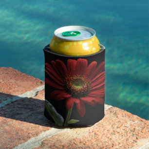 One Red Daisy On Black Left Side, Can Cooler