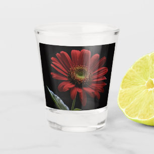 One Red Daisy On Black Left Side, Shot Glass