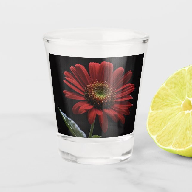 One Red Daisy On Black Left Side,  Shot Glass (Front)