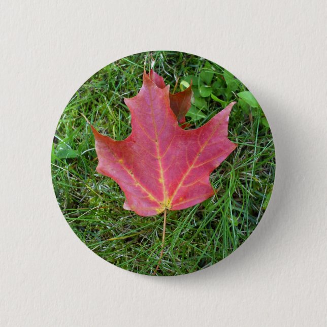 One Red Maple Leaf on grass 6 Cm Round Badge (Front)