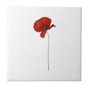 One Red Poppy Ceramic Tile