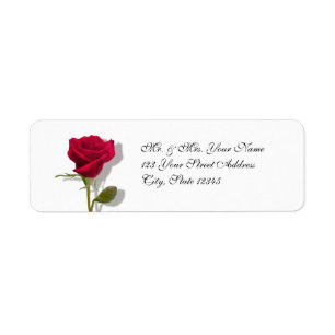 One Red Rose