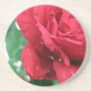 One Red Rose Coaster
