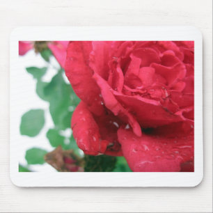 One Red Rose Mouse Mat
