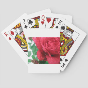 One Red Rose Playing Cards