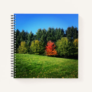 One Red Tree Notebook