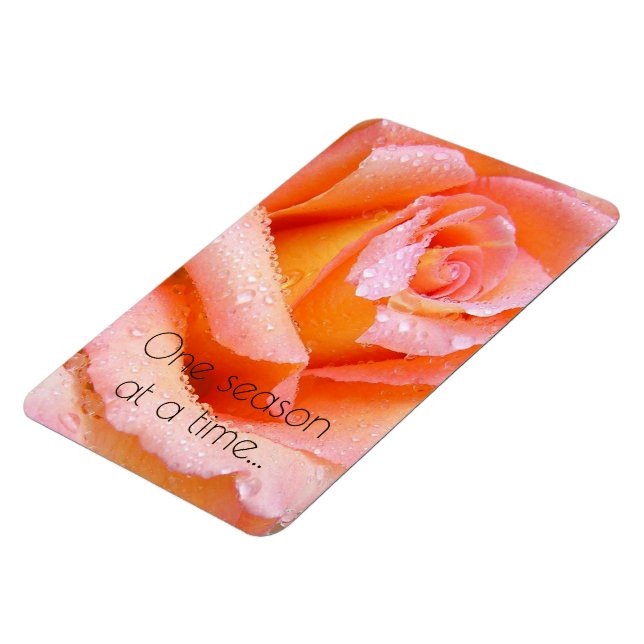 One Season At A Time Peach Rose Magnet (Left Side)