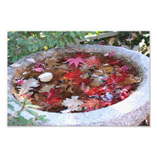 One Serving of Autumn Photo Print