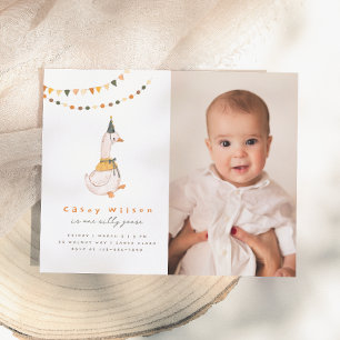 One Silly Goose Budget Photo First Birthday Party