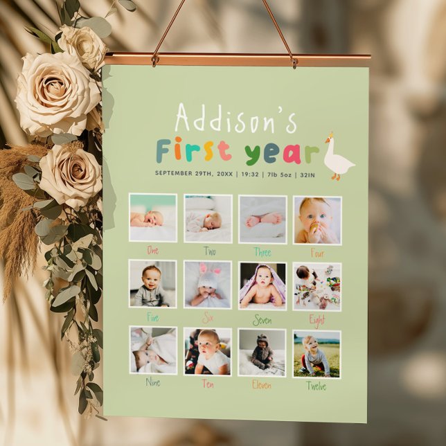 One Silly Goose First Year Birthday Photo Collage Poster (Creator Uploaded)
