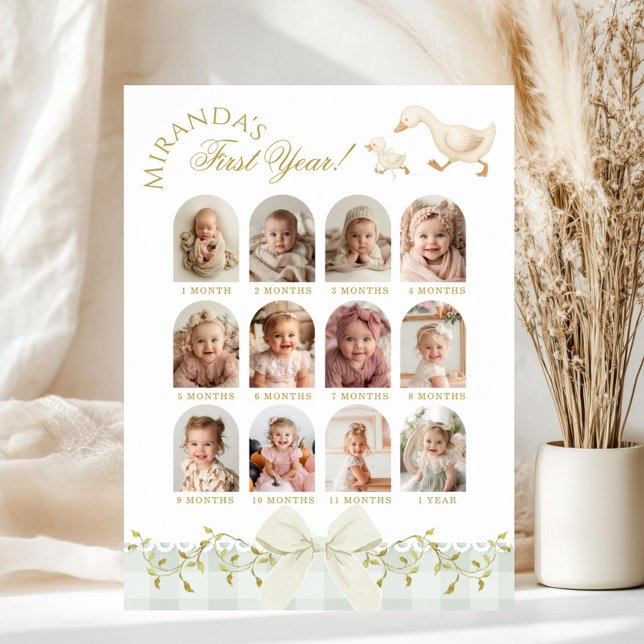 One Silly Goose Sage 1st Birthday Photo Milestone Poster (Creator Uploaded)