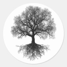 One Source | Tree of Life Design