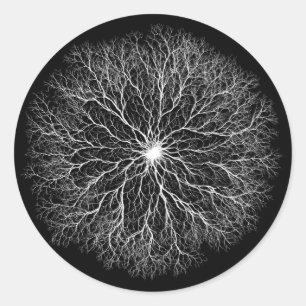One Source Tree of Life Design Classic Round Sticker