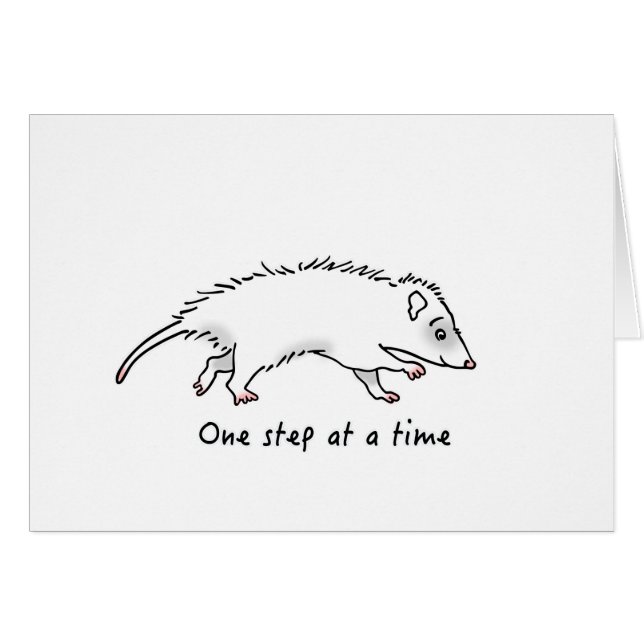 One Step Possum (Front Horizontal)