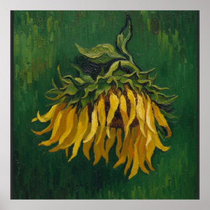 One Sunflower After Van Gogh Poster