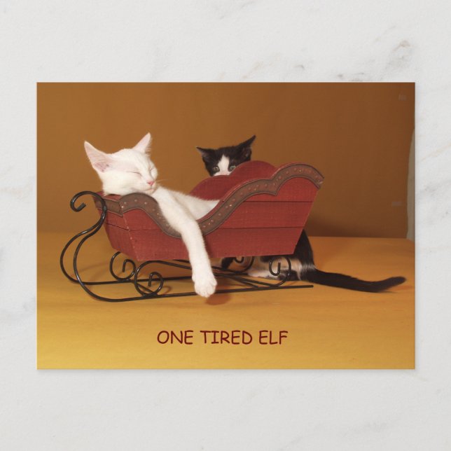 One Tired Elf Humour Christmas Post Card (Front)