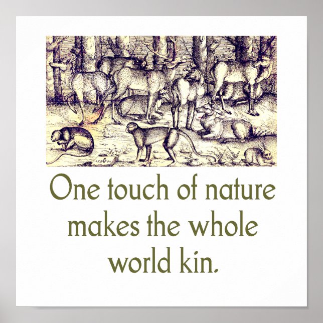 One Touch Of Nature Poster (Front)
