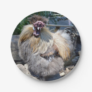 One Ugly Fluffy Chicken,  Paper Plate