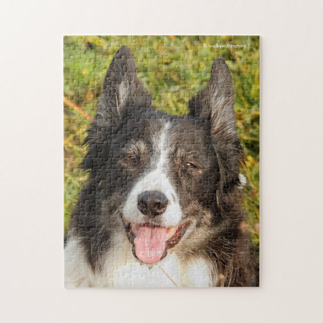 One Very Friendly Border Collie Jigsaw Puzzle (Vertical)