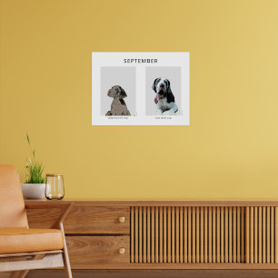 One Week one Month Old Great Dane  Poster