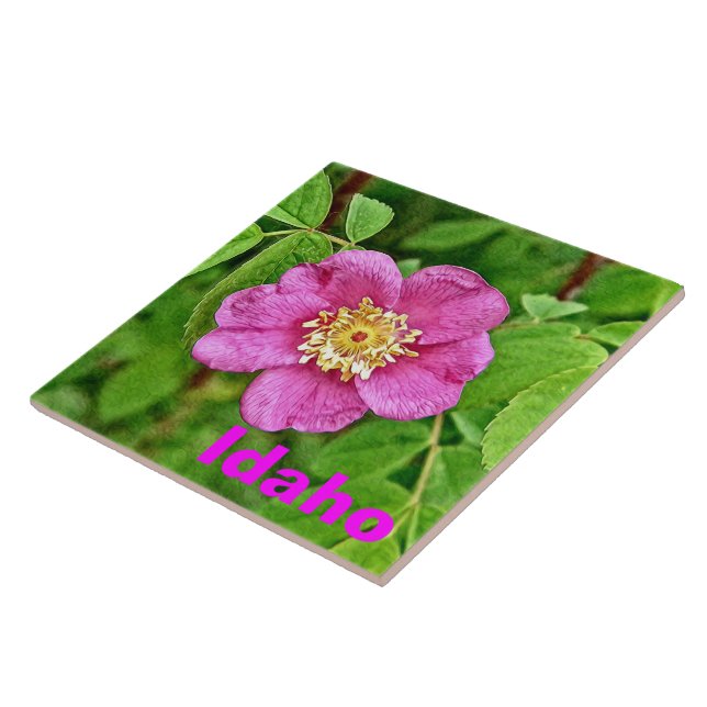 One Wild Rose - Idaho Tile (Side)