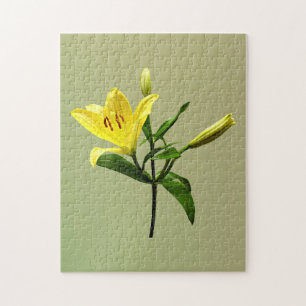 One Yellow Lily Jigsaw Puzzle