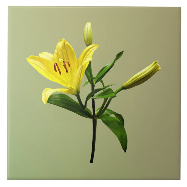 One Yellow Lily Tile (Front)