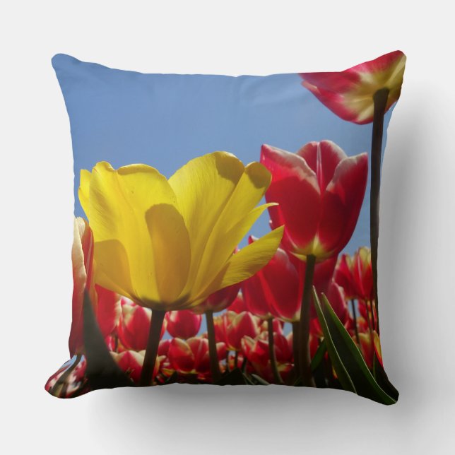 One Yellow Tulip in Red Tulips Field Throw Pillow (Front)