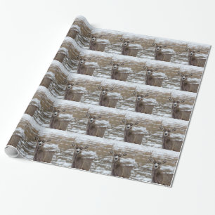 OneAntlerDeer.jpg Wrapping Paper