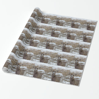 OneAntlerDeer.jpg Wrapping Paper