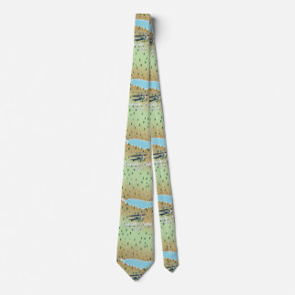 Oneida Lake New York map Tie