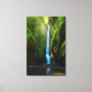 Oneonta Falls Canvas Print