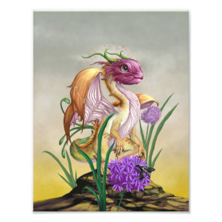 Onion Dragon 8.5x11 Print