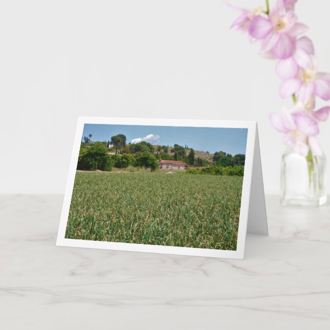 Onion Field Landscape Card (Orchid)