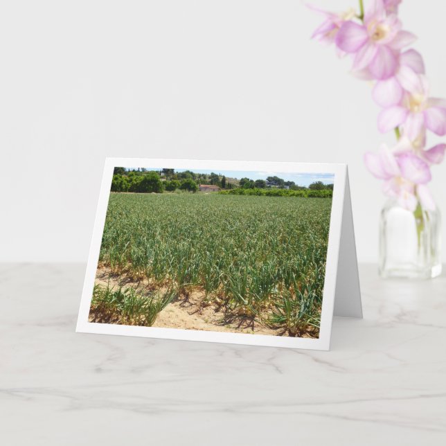 Onion Field Landscape Card (Orchid)