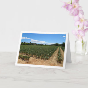 Onion Field Landscape Card