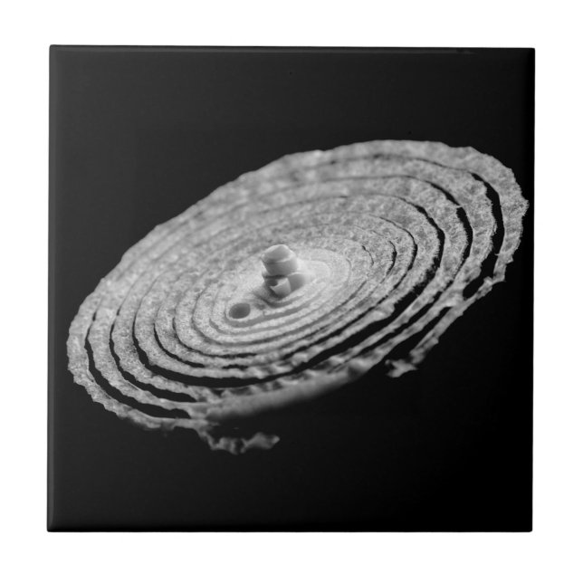 Onion Portrait Tile (Front)