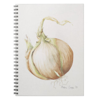 Onion Study 1993 Notebook